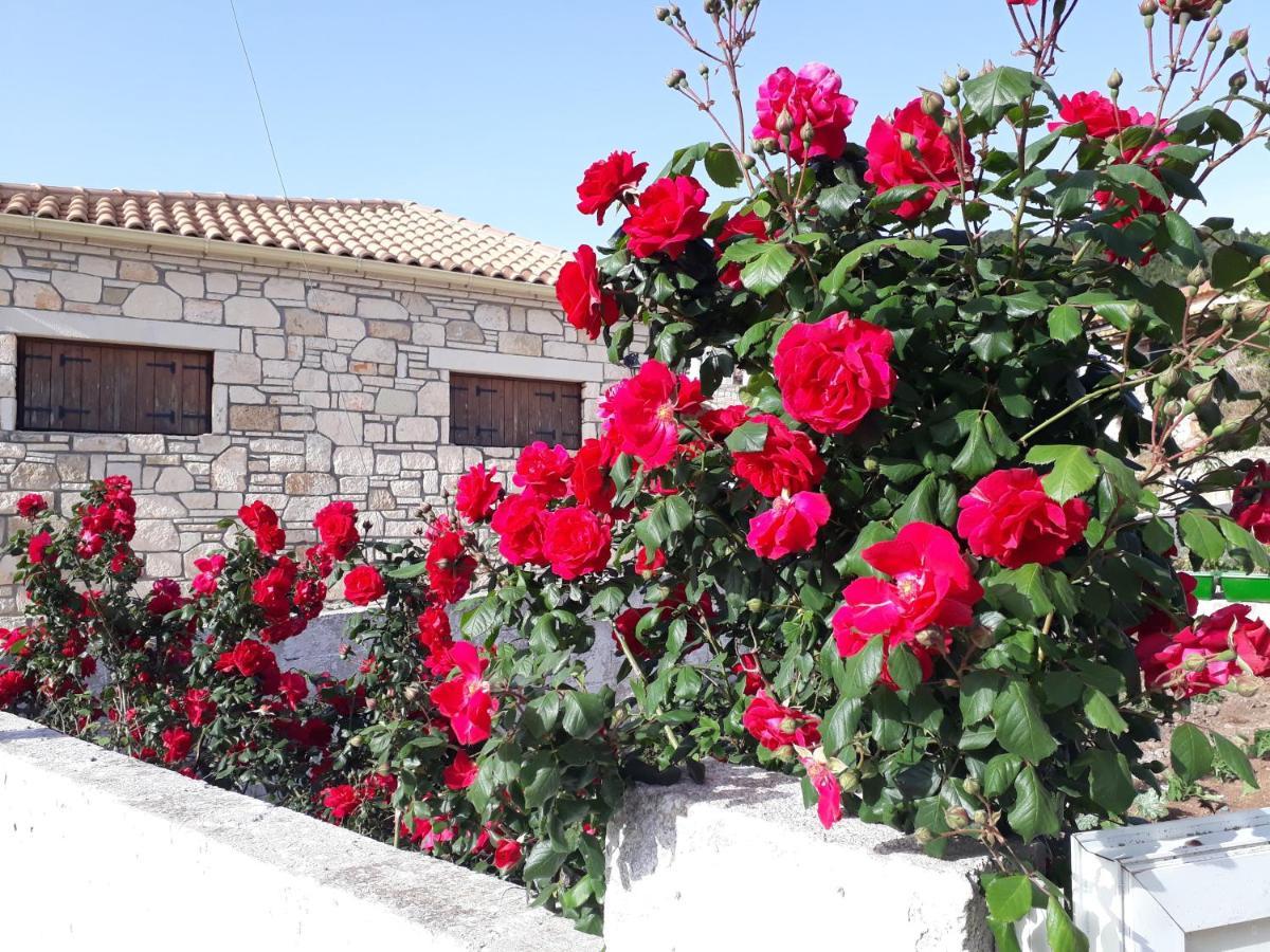 Katoi Traditional House Exo Khora المظهر الخارجي الصورة