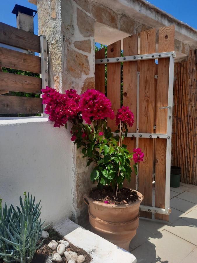 Katoi Traditional House Exo Khora المظهر الخارجي الصورة